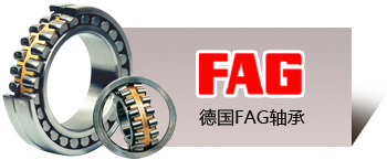 德國(guó)FAG軸承